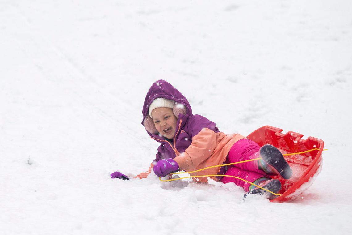 Harper, 4, tumbles out of a sled at Wright Park on Friday, March 13, 2026, in Tacoma, Wash.