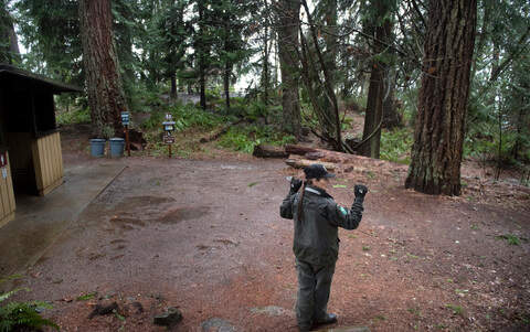 Washington State Parks to hire over 300 seasonal park aides | Tacoma ...