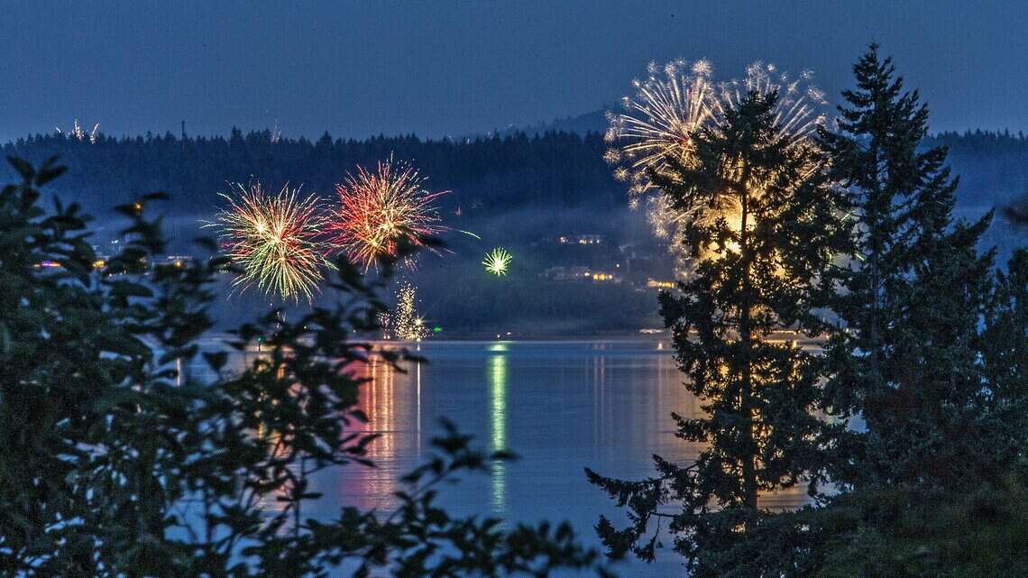 Gig Harbor police don't want to fine people for fireworks, would rather see residents having fun
