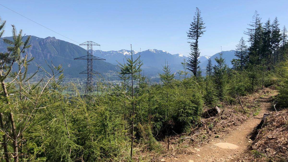A much-anticipated mountain bike trail system near North Bend will open later this month, the state Department of Natural Resources announced.