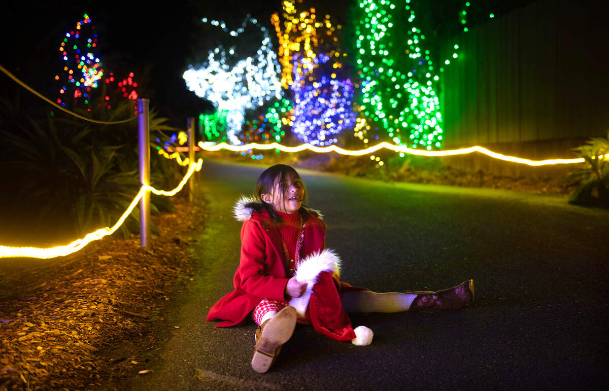 Alaina Weaver, 7, takes in the sights during an early tour of the Zoolights exhibit at the Point Defiance Zoo & Aquarium in Tacoma, Washington, on Nov. 20, 2023.