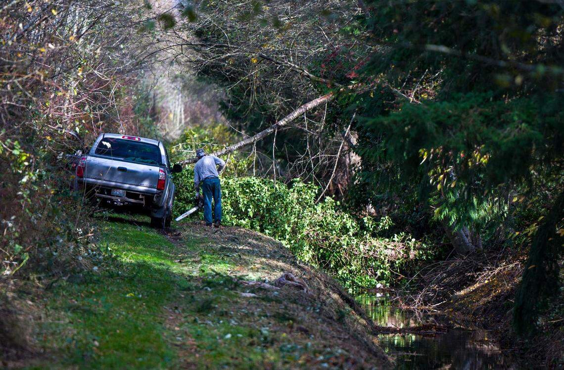 A man clears a tree that fell over a creek near the Foothills Trail in Enumclaw, Wash., on Wednesday, Nov. 20, 2024. A bomb cyclone off the coast of Washington brought strong winds to a number of communities in the foothills of the Cascade Mountains on Tuesday night.