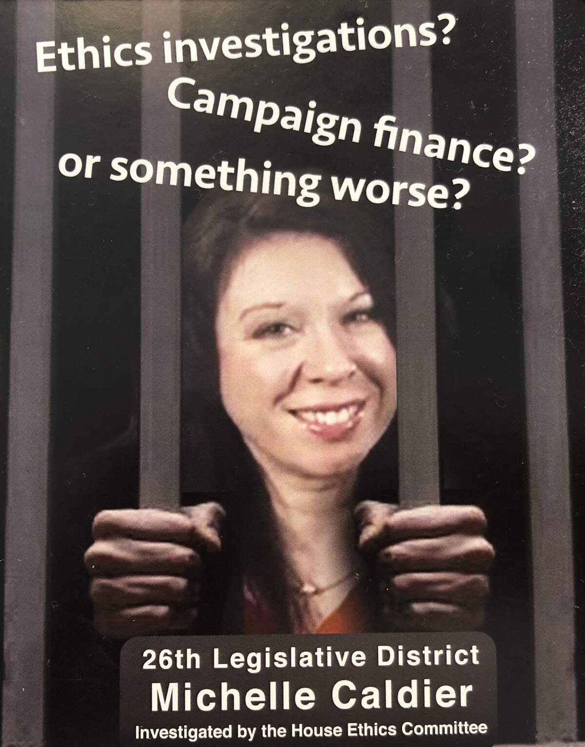 This Randy Boss campaign mailer against Rep. Michelle Caldier took creative liberties, to put it mildly.