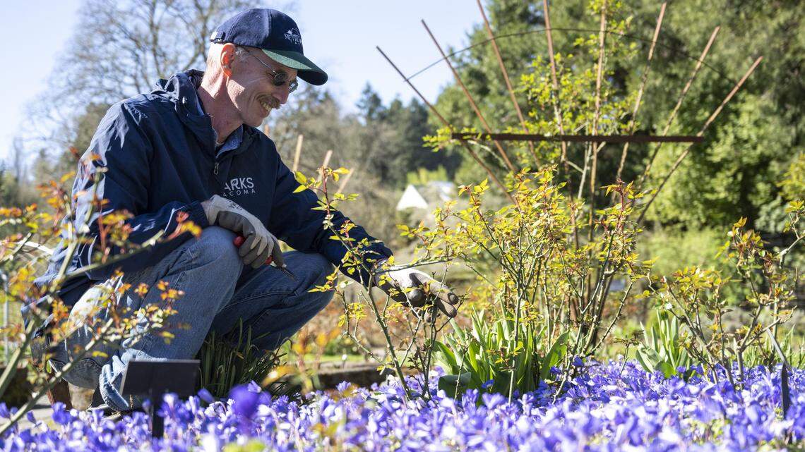 If you’ve been to Point Defiance, you know his work. Now ‘plant addict’ retires