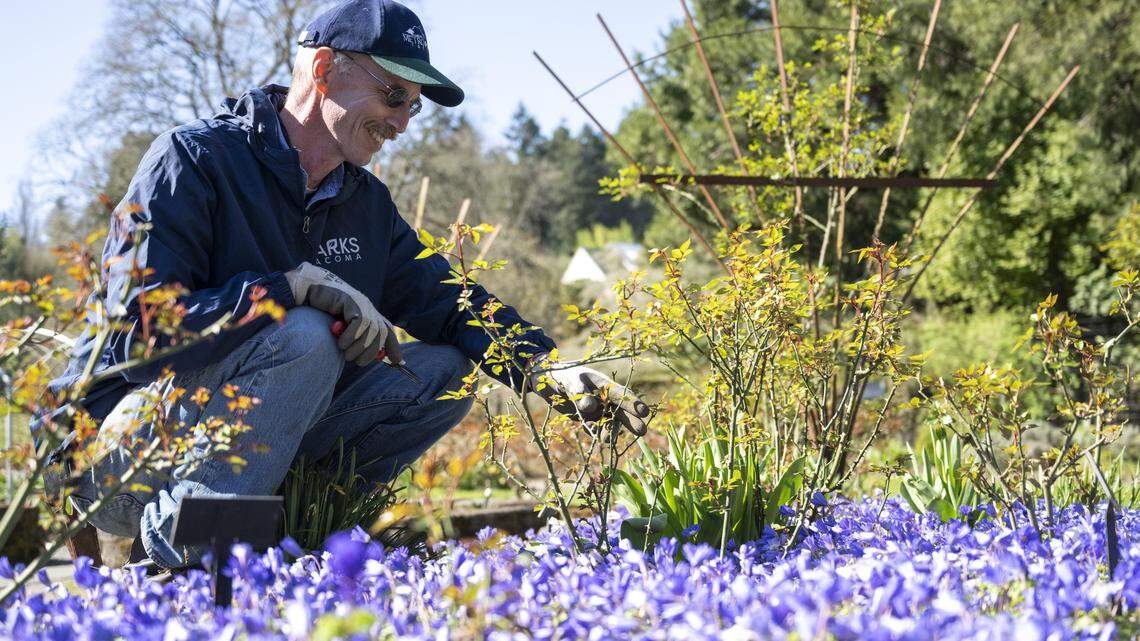 If you’ve been to Point Defiance, you know his work. Now ‘plant addict’ retires