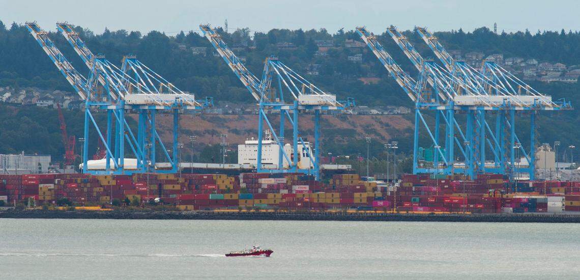 A wall of shipping containers continues to grow at the Port of Tacoma Thursday, August 26, 2021. When shipping surged back this year in the pandemic’s wake, ports struggled to load and unload containers fast enough to keep up with the crush of ships waiting just offshore.