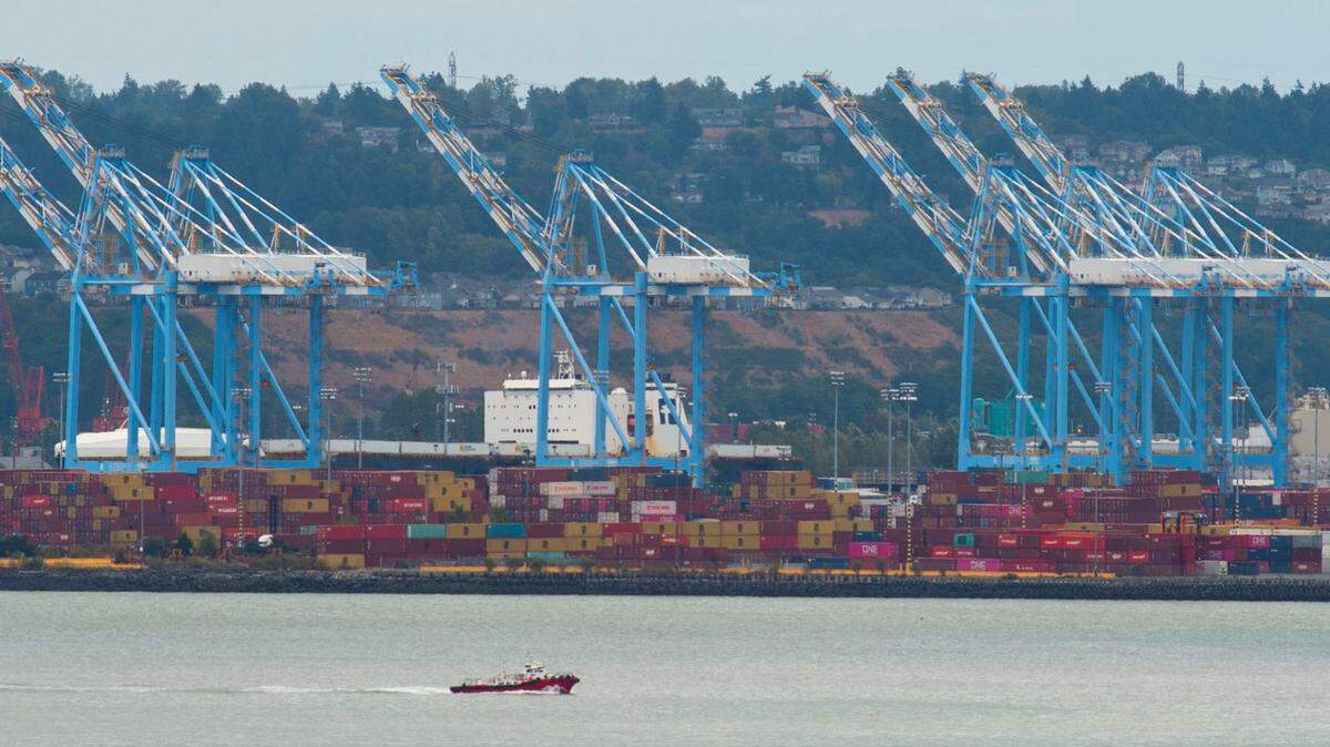 A wall of shipping containers continues to grow at the Port of Tacoma Thursday, August 26, 2021. When shipping surged back this year in the pandemic’s wake, ports struggled to load and unload containers fast enough to keep up with the crush of ships waiting just offshore.