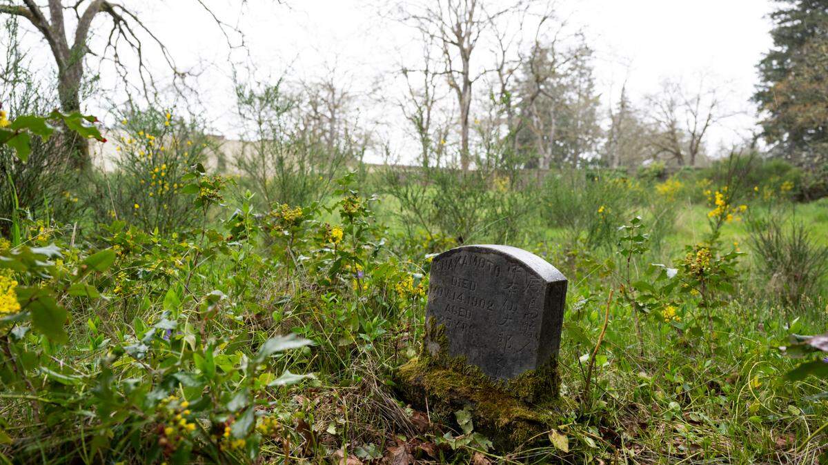 Tombstones are visible in Potter’s Field Cemetery, where more than 1,600 people were buried, on Thursday, April 10, 2025, in Tacoma, Wash.
