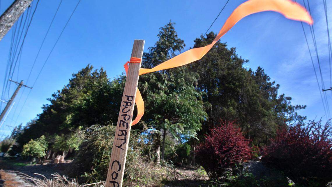 This vacant property in Tacoma’s North End could soon host 4 affordable-housing cottages