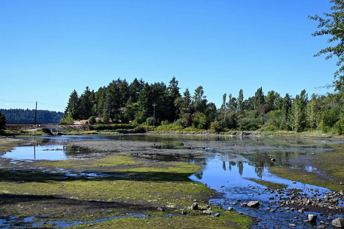 Metro Parks hopes to make improvements at Tacoma’s Titlow Park, including restoring the lagoon, seen here Tuesday, Aug. 1. Metro Parks and its partners will be holding a community workshop on Aug. 6.