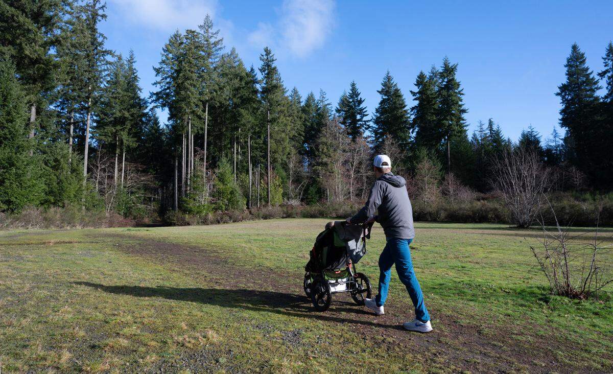 This grass meadow will be replaced with two synthetic turf athletic fields at the planned Gig Harbor Sports Complex.