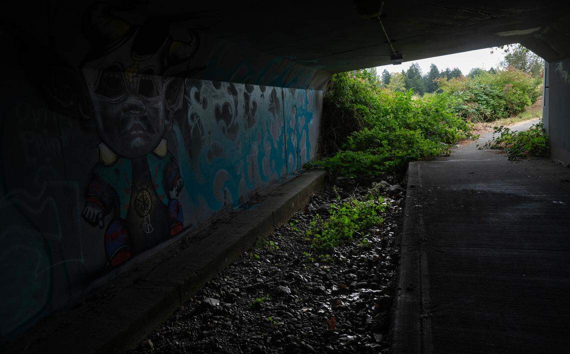 Upper Sequalitchew Creek in DuPont, Washington, is often dry during the summer, and is fed downstream by spring water., and the surrounding flora and fauna. The dry creek bed is shown on Thursday, Aug. 15, 2024.