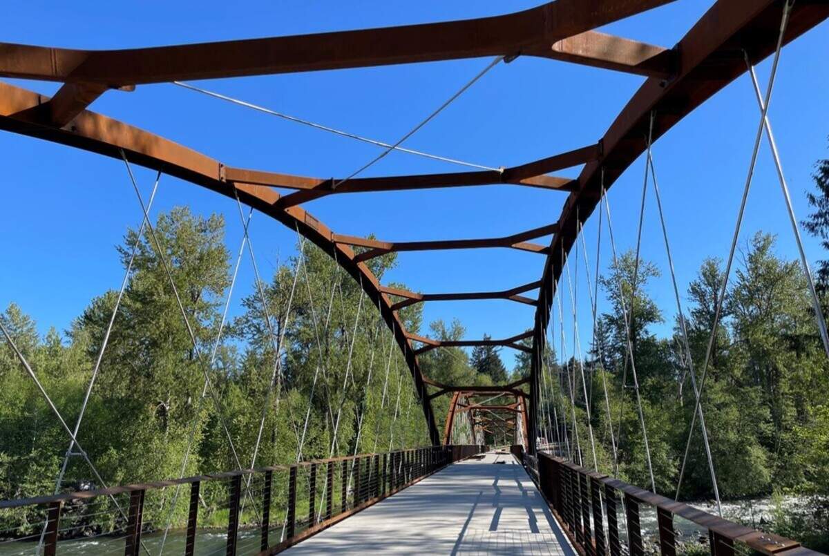 This is a possible style for the new pedestrian bridge proposed at Swan Creek Park.