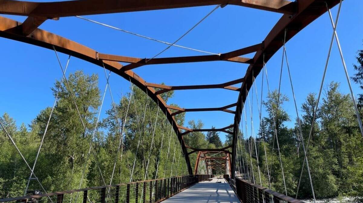 This is a possible style for the new pedestrian bridge proposed at Swan Creek Park.