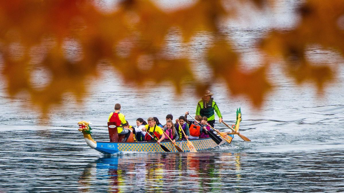 Fall foliage is seen on trees as visitors race Dragon Boats through the harbor near the Harbor History Museum in Gig Harbor, Wash., on Saturday, Nov. 16, 2019.