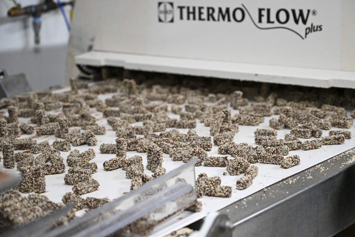 The Rocas are “sandblasted” with crushed almonds and given a good shake one last time before being wrapped in their iconic gold foil.