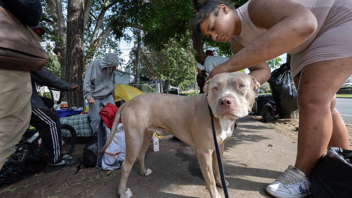 Keyauni, a homeless resident living in a camp along 96th Street east of Hosmer Street in Tacoma, Washington, prepares to take her dog, Aries, on a walk on Thursday, Sept. 24, 2024.