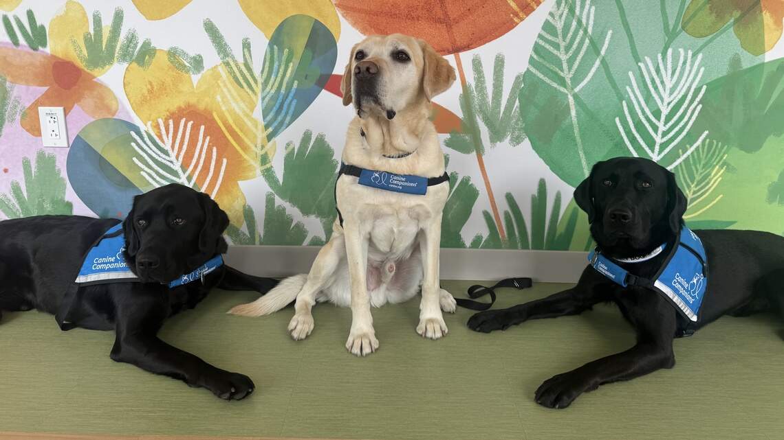Dogs put kids at ease at Tacoma hospital. They’re loving, silly and don’t judge.