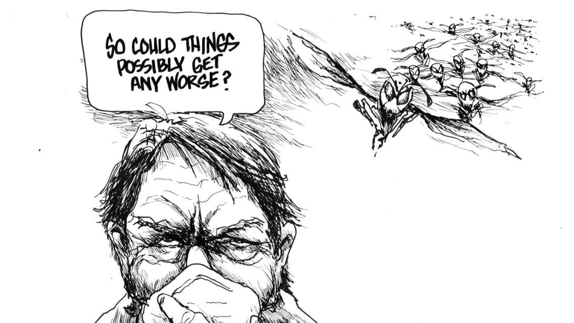 Don Snowden’s cartoon for May 14