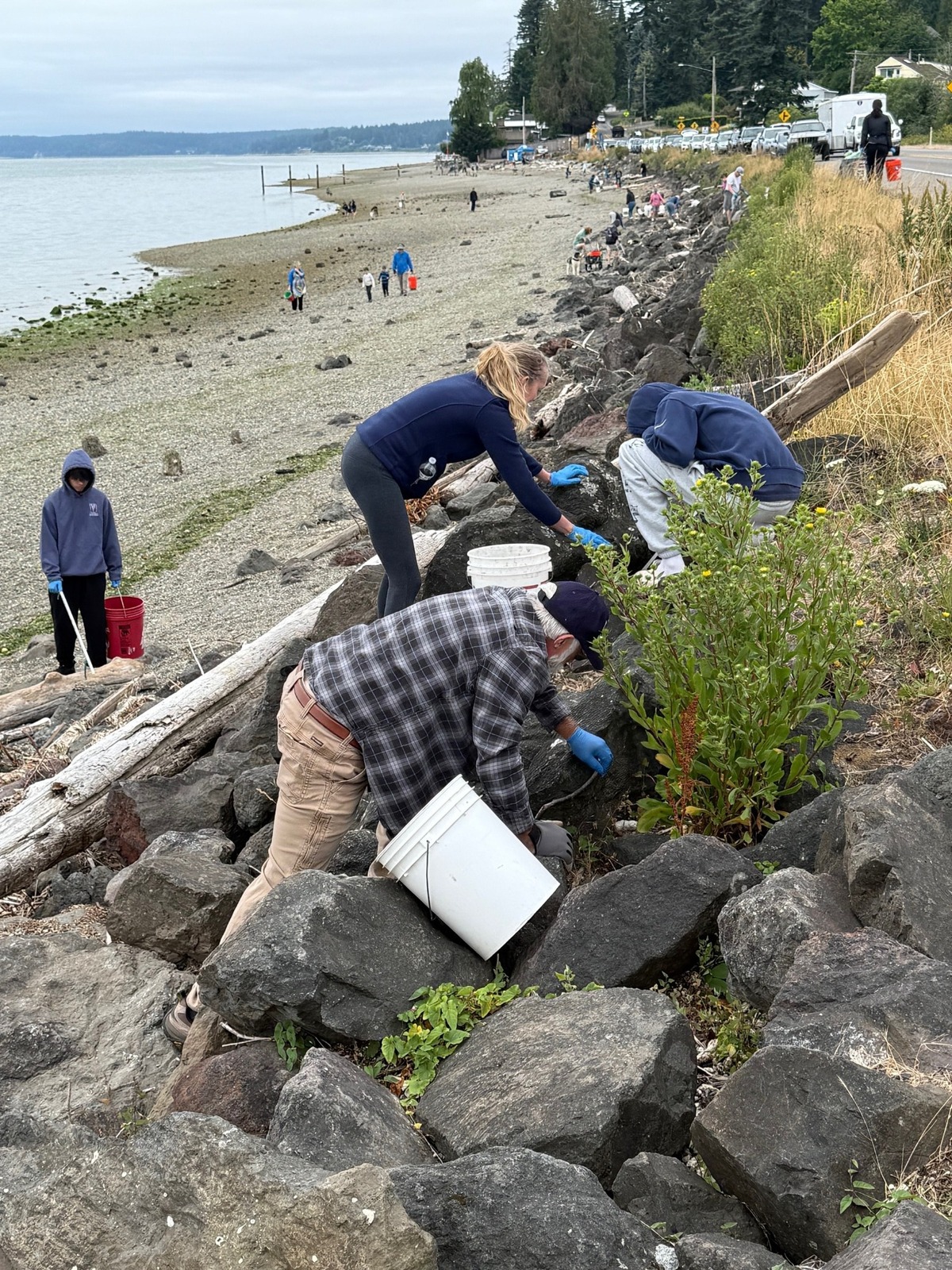This image shows volunteers cleaning Purdy Sand Spit near Gig Harbor.
