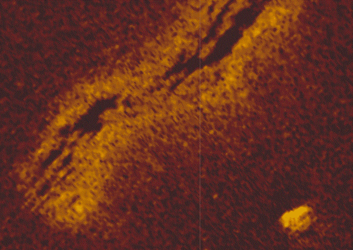 Imaging shows what is believed to be the hull of the SS Pacific on the ocean floor.