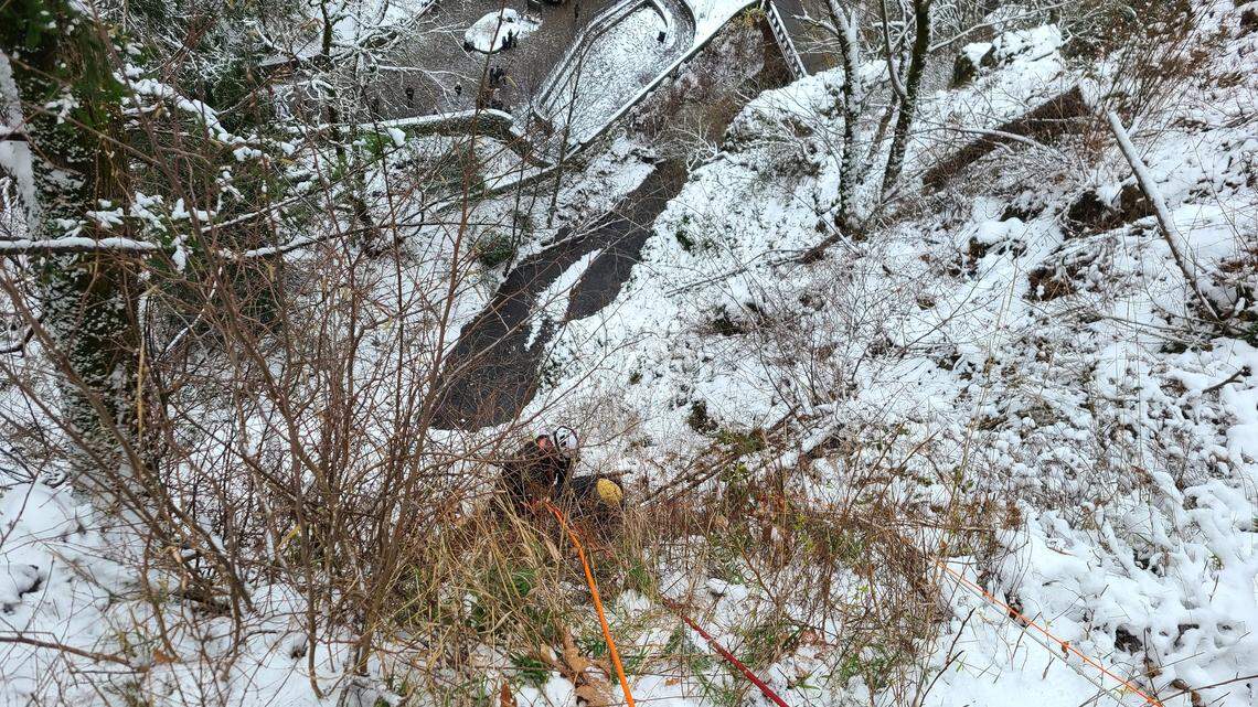 A firefighter rescues a woman who fell off a trail at Multnomah Falls in Oregon after she was found clinging to a tree root 300 feet up a cliff, Corbett Fire District 14 officials said.