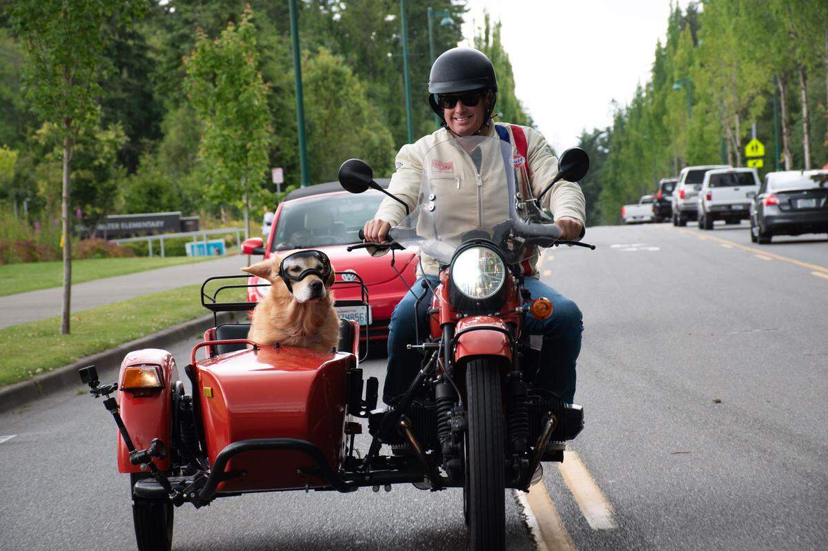 Buddy the golden retriever, left, and his owner Mike Stevens cruise down Harborview Drive as the duo heads to Costco on Monday, June 17, 2024, in Gig Harbor.
