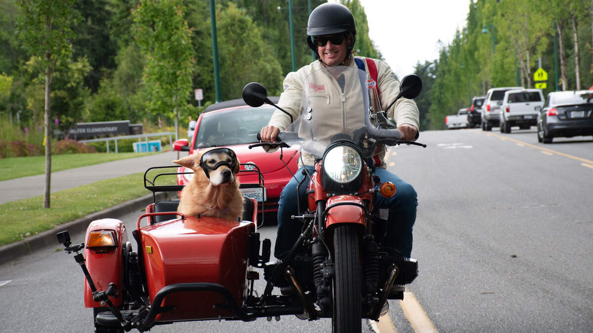 Dog riding motorcycle draws smiles from Gig Harbor residents | Tacoma ...