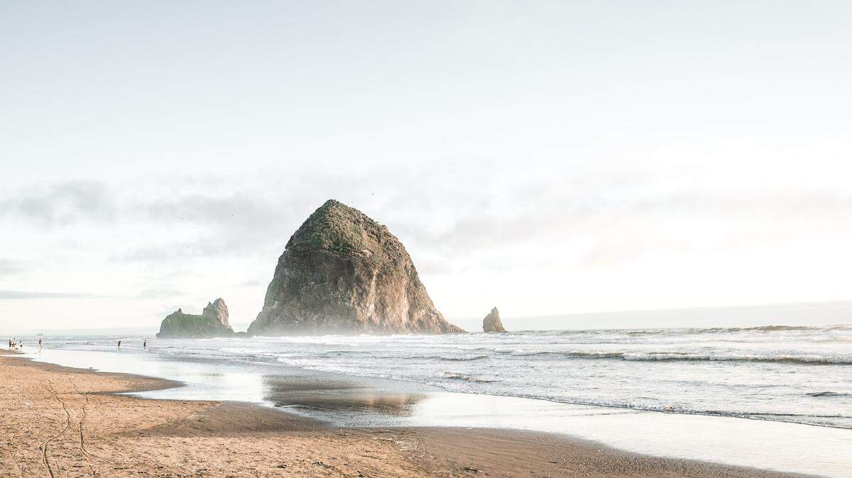 Rescuers were stunned to find a stranded creature in the tide pools on June 7 at Cannon Beach in Oregon. They helped return it to the ocean.