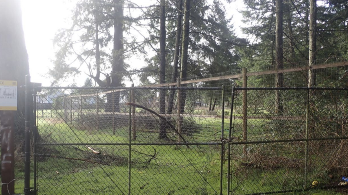 A view of one of the recently sold Spanaway-area parcels set to become home to a development of 71 homes and a community park.