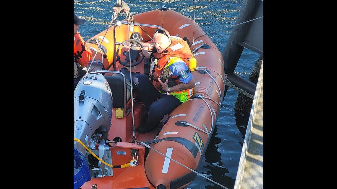 A small creature was spotted on a structure in the water at a ferry terminal on July 26 in Clinton, Washington, transportation officials said.