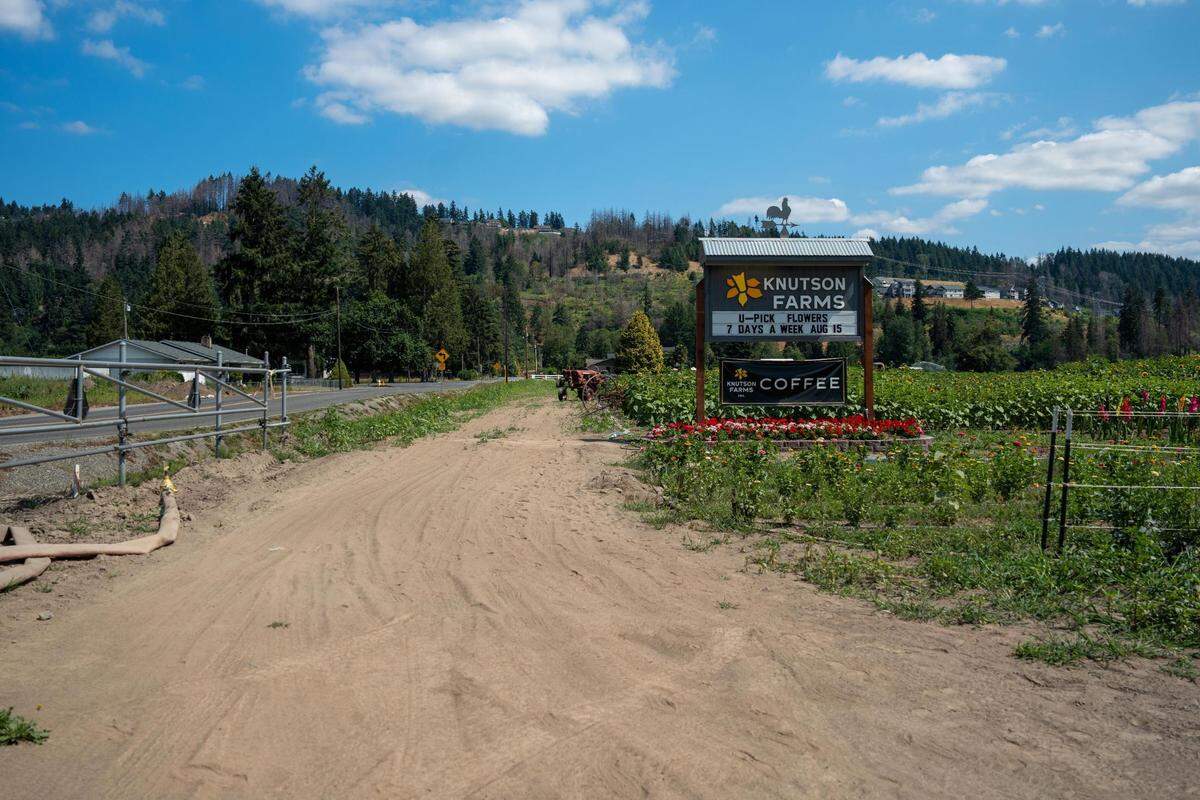 Knutson Farms, located at 16406 78th St. E. Sumner, Wash. will be holding two movie nights on Aug. 19 and 20 to help raise money for the Puyallup Food Bank and Sumner Community Food Bank.