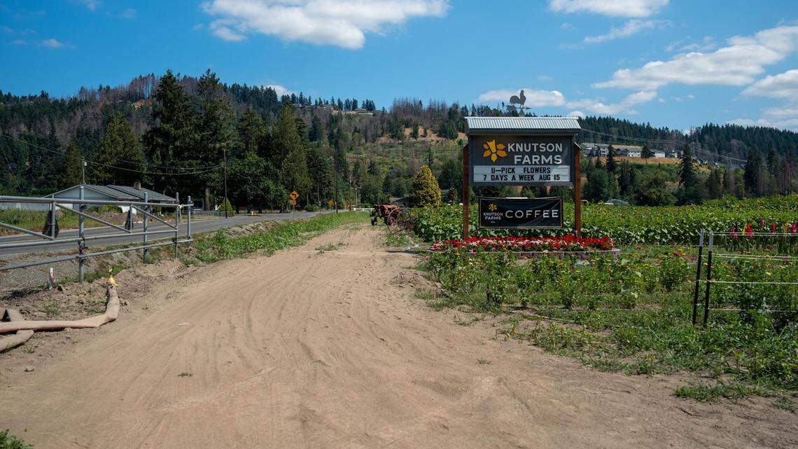 Pierce County has a new tulip festival that starts this weekend. Here’s what to know