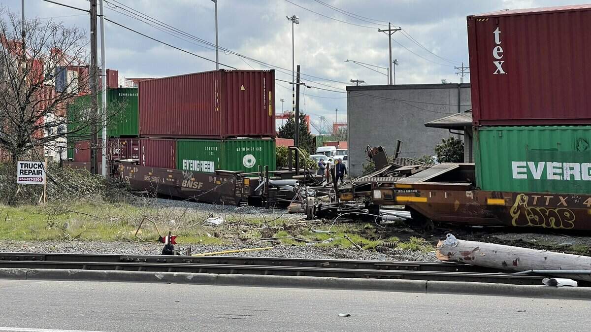 A BNSF freight train derailed and hit a utility pole Tuesday afternoon near the intersection of Port of Tacoma Road and Lincoln Avenue, according to Tacoma Fire Department.