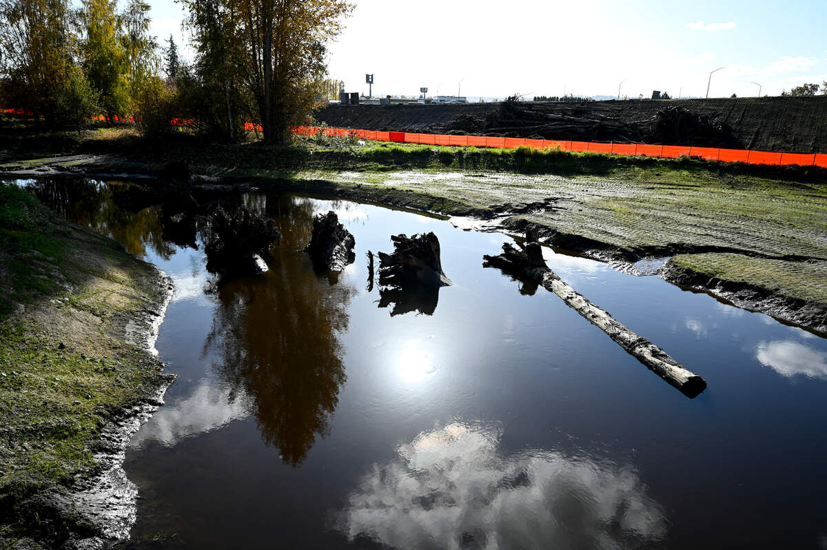 Construction takes places on the 167 Completion Project near Hylebos Creek, on Wednesday, Nov. 8, 2023, in Tacoma, Wash. the project will add a toll road and rehabilitate Hylebos Creek.