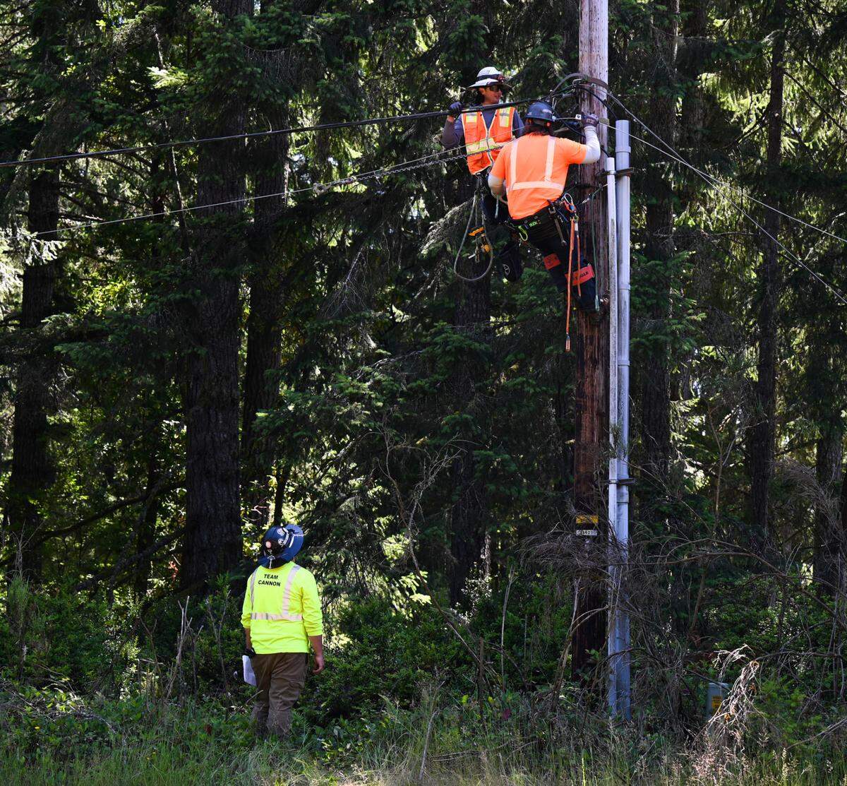 Canon Companies construction workers begin on a multi-year internet upgrade project spearheaded by Comcast and Pierce County in the Key Peninsula area on Wednesday, July 3, 2024.