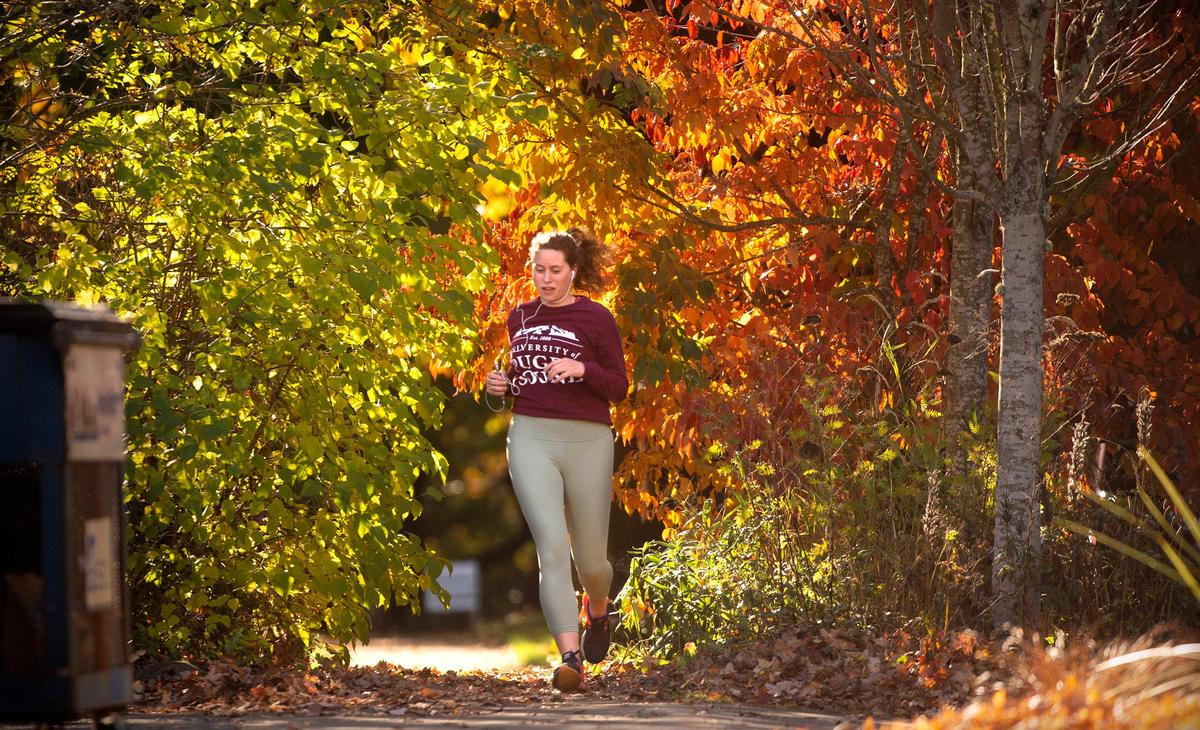 A jogger slips through brightly colored leaves as she runs in Tacoma, Washington, on Wednesday, Oct. 30, 2019.