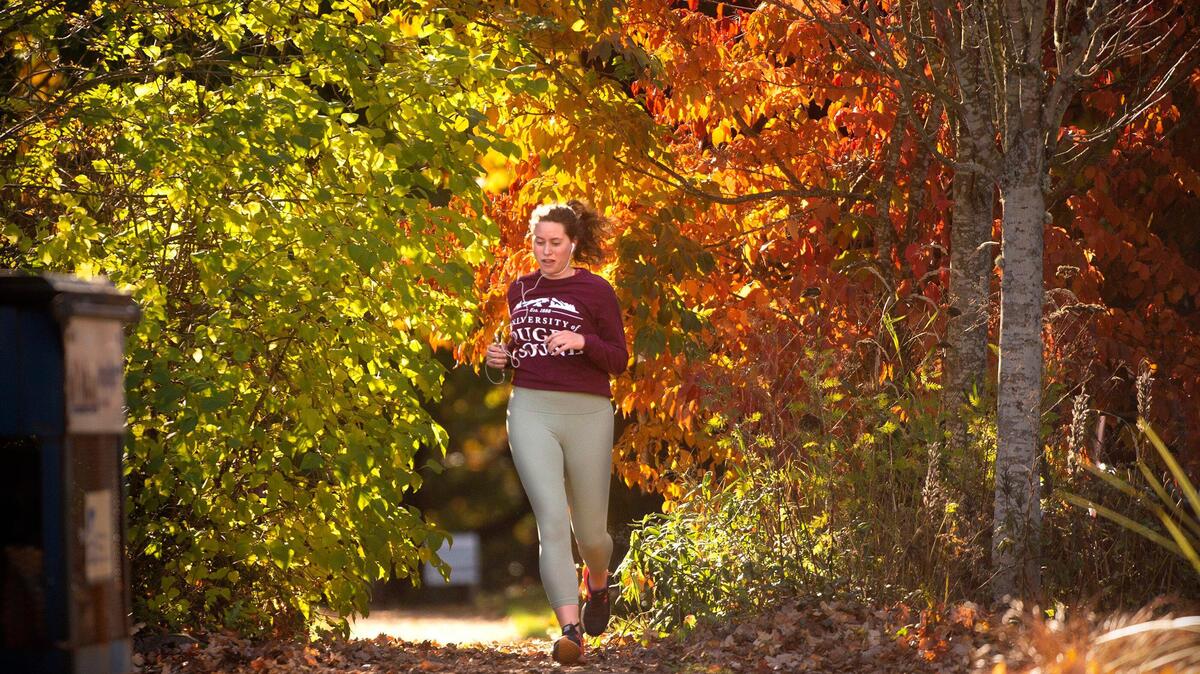 When are fall leaves at peak in WA? Best viewing dates | Tacoma News ...