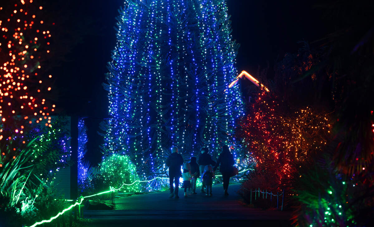Families take an early tour of the 2023 Zoolights exhibit at the Point Defiance Zoo & Aquarium in Tacoma, Washington, on Nov. 20, 2023.