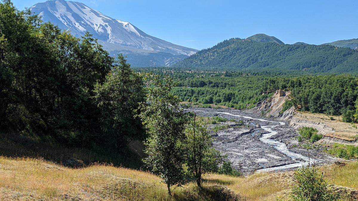 One line of plots studied during a July 2022 botanical research expedition requires fording the North Fork Toutle River to access. Mount St. Helens in background.