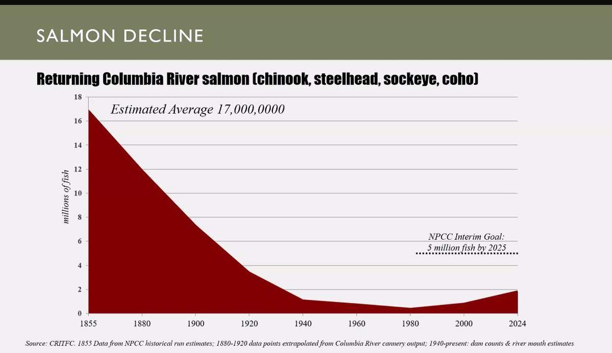Columbia River Inter-Tribal Fish Commission data shows the decline and slow recovery of salmon in the Columbia River basin.