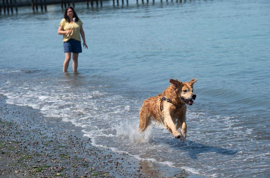 Jack Hyde Park in Tacoma.
