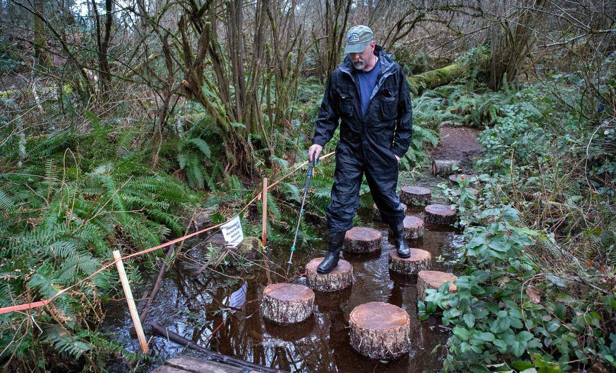 Steilacoom resident Greg Alderete walks through a modified water crossing because of rising water levels at Farrell’s Marsh Wildlife Area in Steilacoom, Washington, on Tuesday, March 2, 2021.