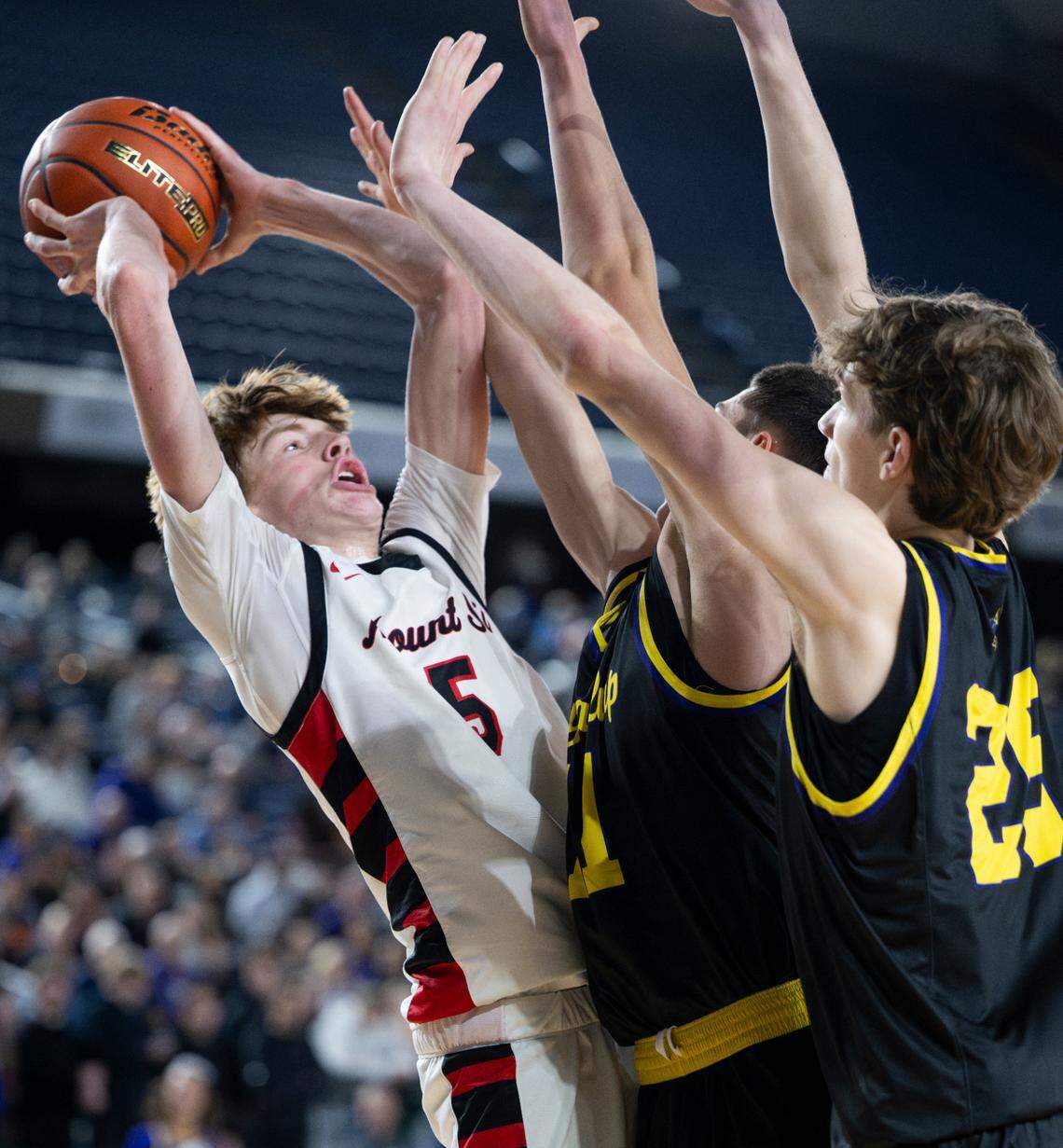 Mount Si’s Brady Hennig (5) goes under Puyallup’s Christian Thomas (11) and Will Nasinec (25) during the second half of a Class 4A state basketball tournament quarterfinal game at the Tacoma Dome on Thursday, March 6, 2025, in Tacoma.