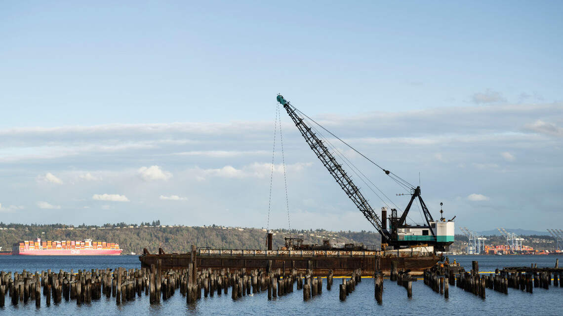 Plucking polluted pilings: 1,200 are being removed along Tacoma’s Ruston Way