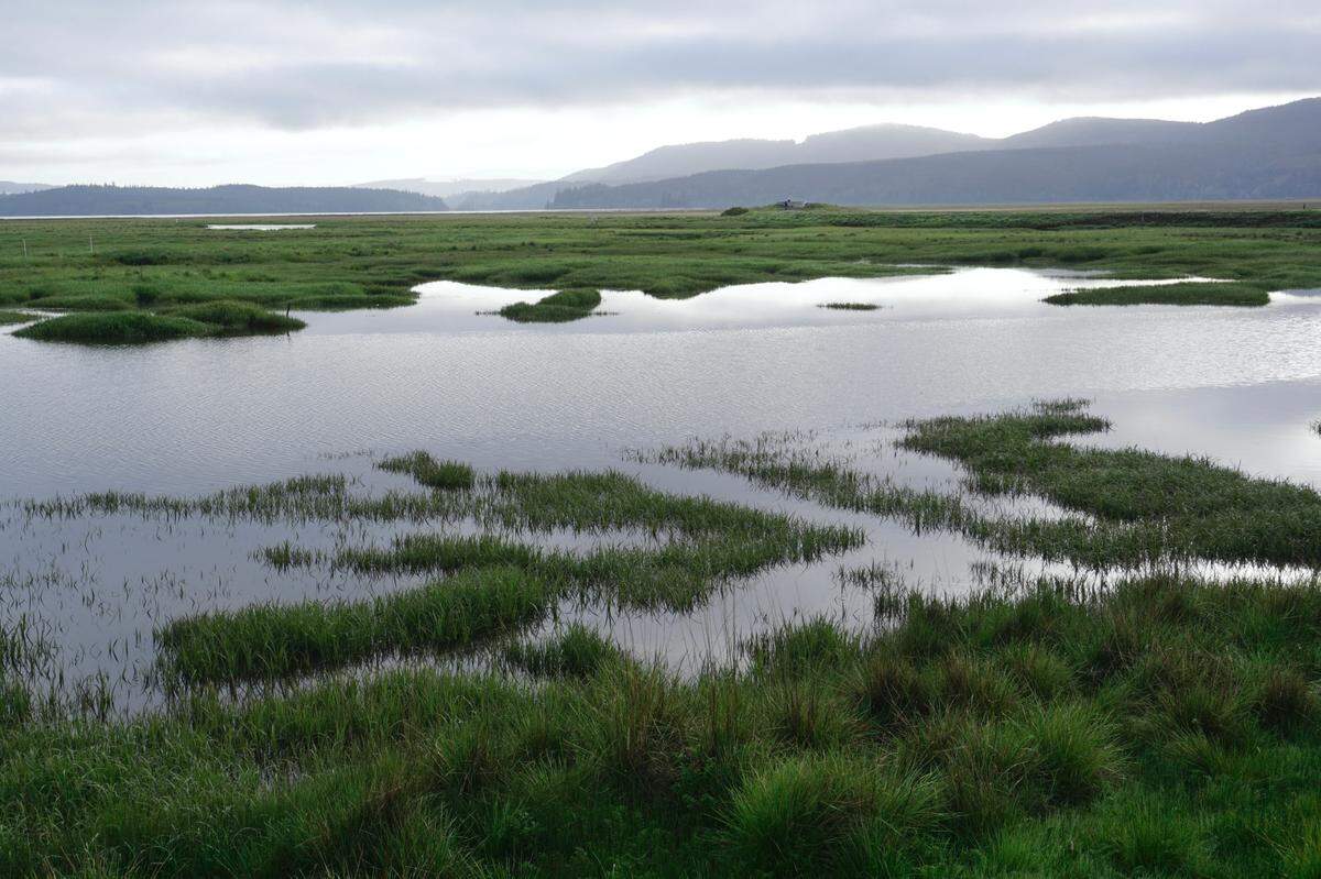 A view of the South Bay Unit of Willapa National Wildlife Refuge, April 24, 2022