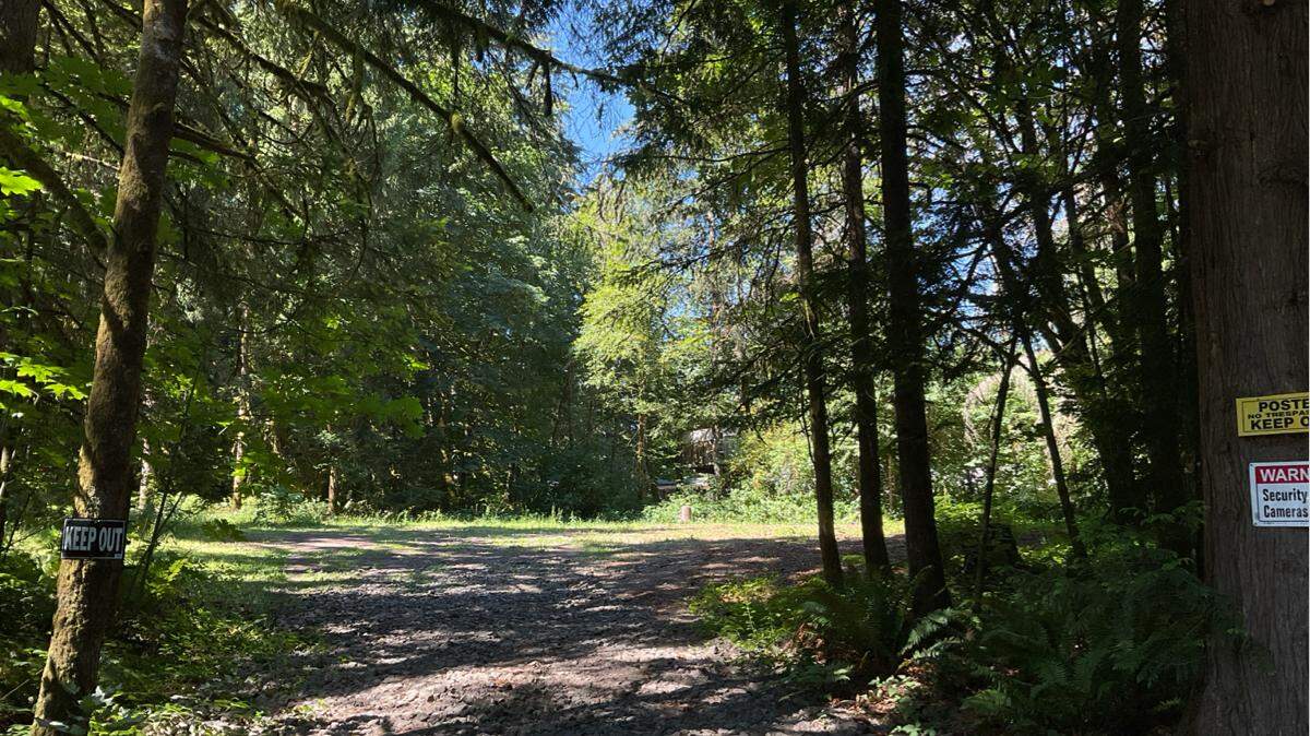 A portion of the site (seen in July) proposed for a new commercial retail development west of state Route 16 along Sehmel Drive in Gig Harbor.