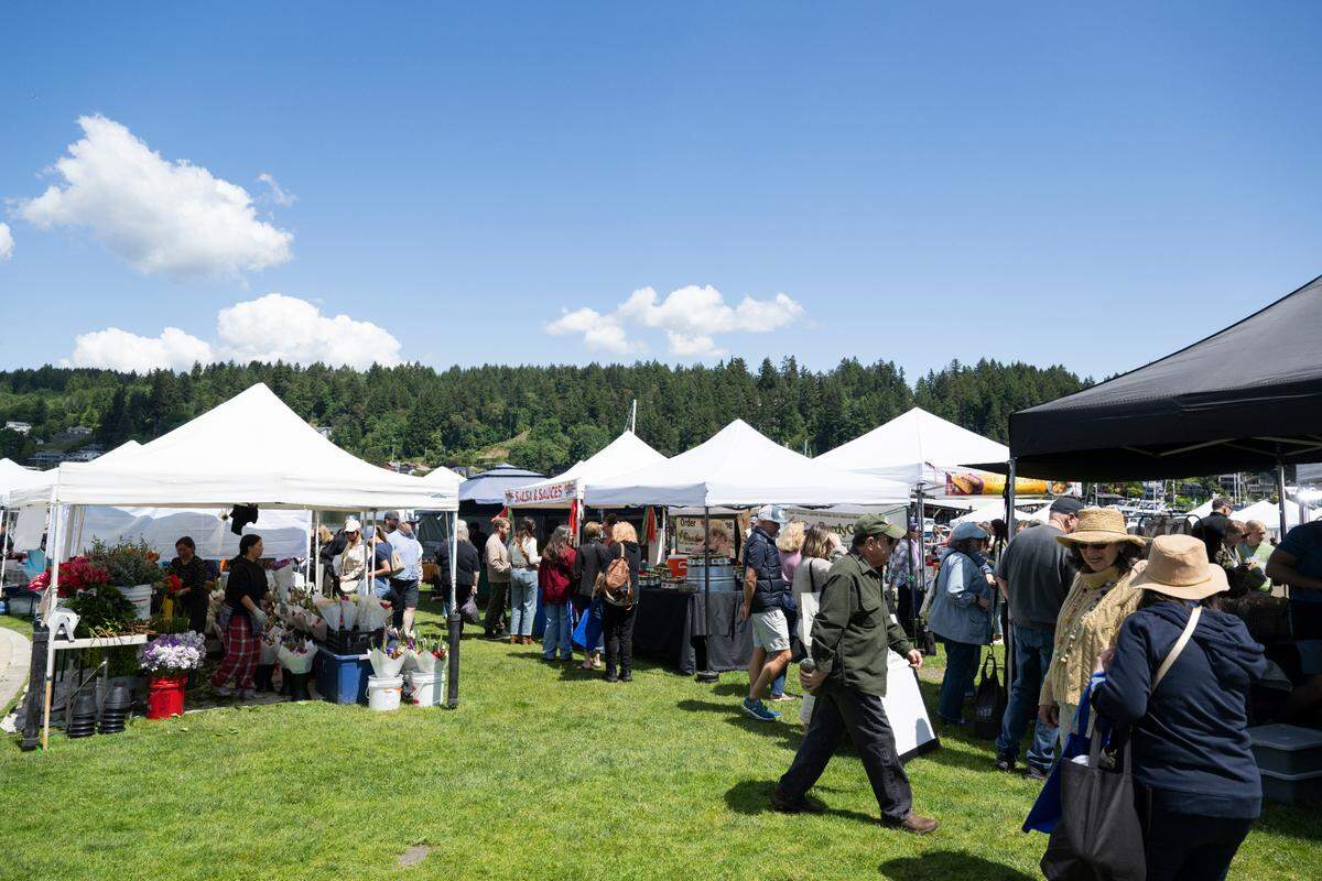 Vendors fill Skansie Brothers Park and Netshed for Waterfront Farmers Market, on Thursday, May 22, 2025, in Gig Harbor, Wash.