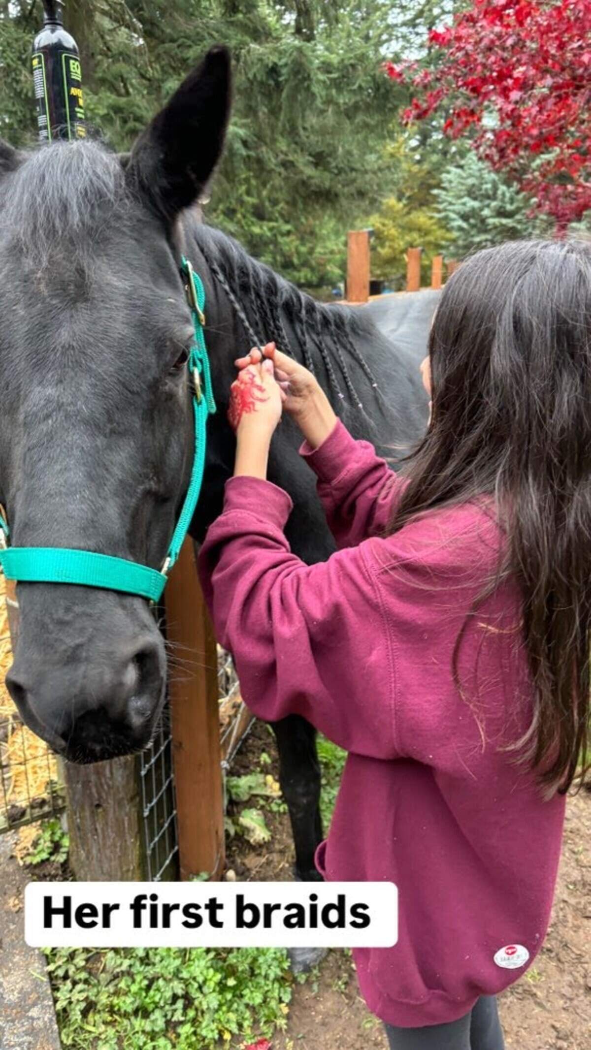 Birdie, an 8-year-old quarter horse that died in a car accident on the Key Peninsula on Dec. 29, 2024, was a “happy little girl,” Amanda Dominguez told The News Tribune.