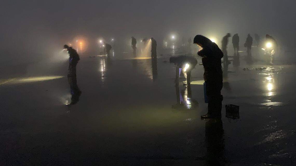Don’t put away those clam guns. WA spring razor-clam season has been extended